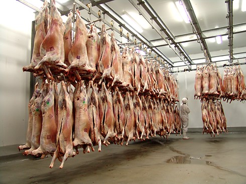 abattoir