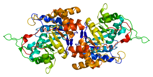 AKR1C1