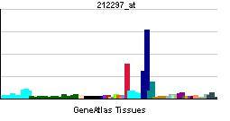 ATP13A3