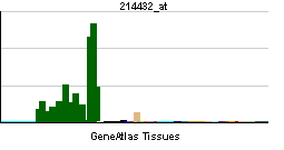 ATP1A3