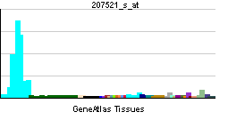 ATP2A3