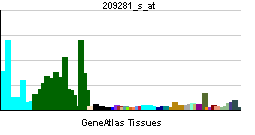 ATP2B1