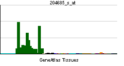 ATP2B2