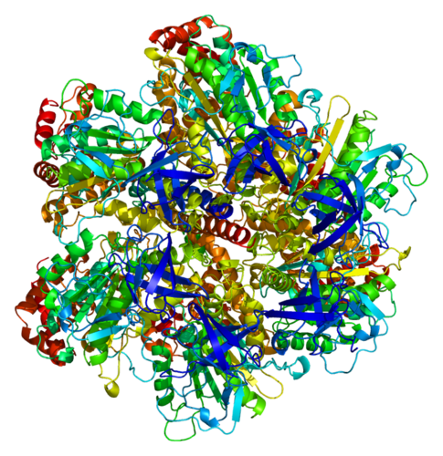 ATP5B