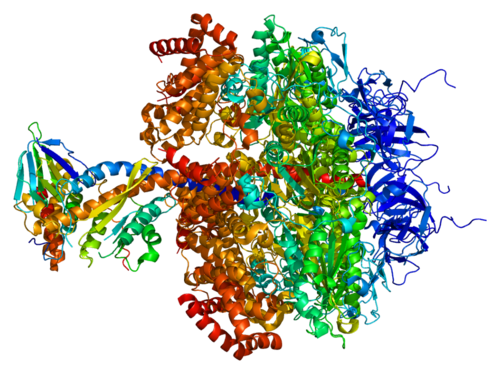 ATP5E