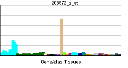 ATP5G1