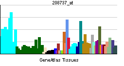 ATP6V1G1