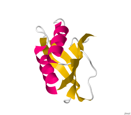 Acylphosphatase