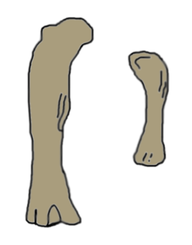 Aegyptosaurus