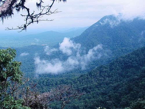 Agumbe