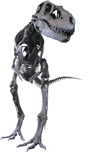 Albertosaurus