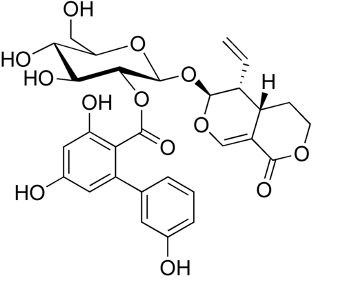 Amarogentin