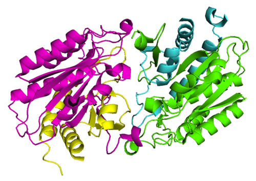 Aminoacylase