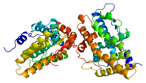 Aromatase