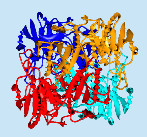 Asparaginase