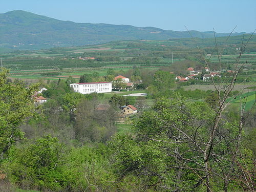 Barbatovac