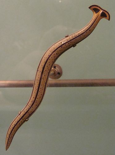 Bipalium