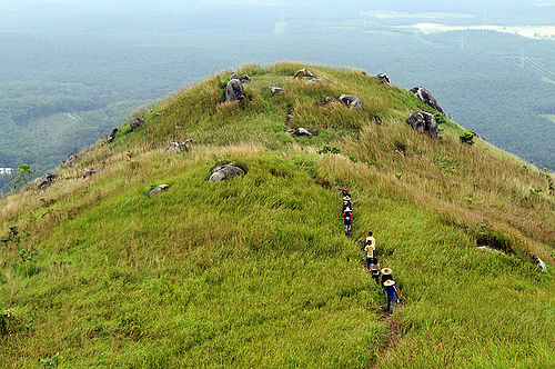 Broga