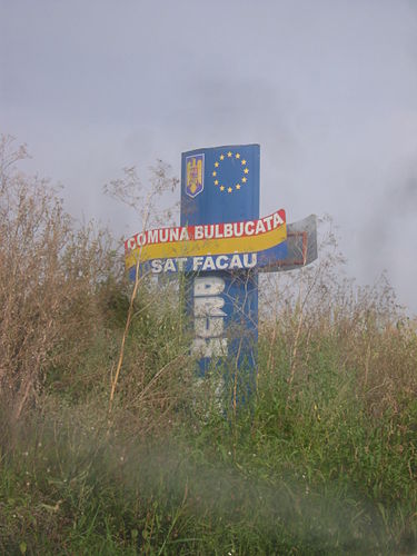 Bulbucata