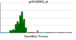 CNDP1