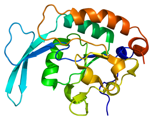 CTDSP1