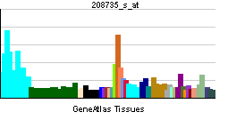 CTDSP2