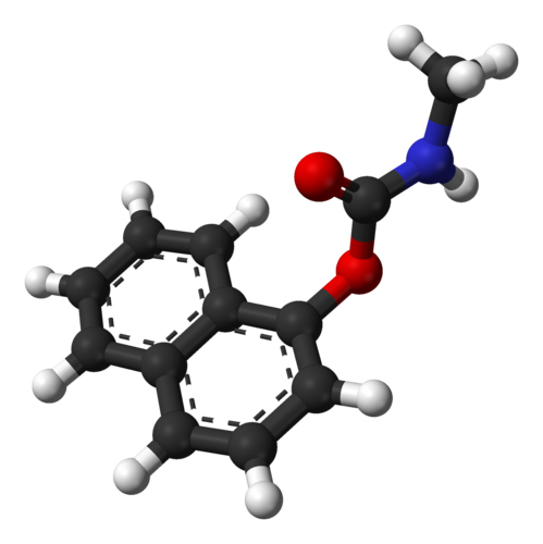 Carbaryl