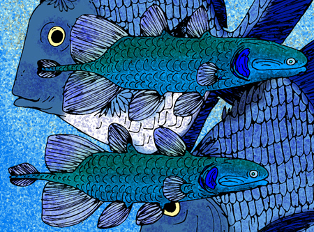 Coelacanthus