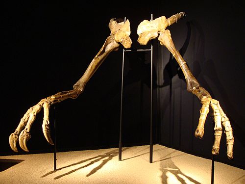 Deinocheirus