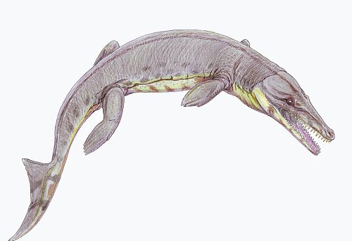 Denazinosuchus