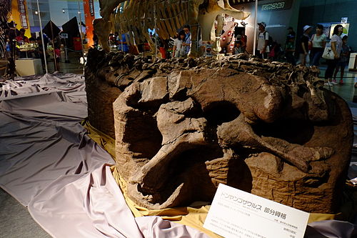 Dongyangosaurus