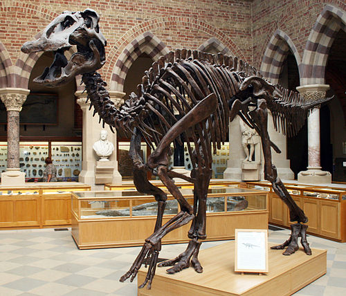 Edmontosaurus