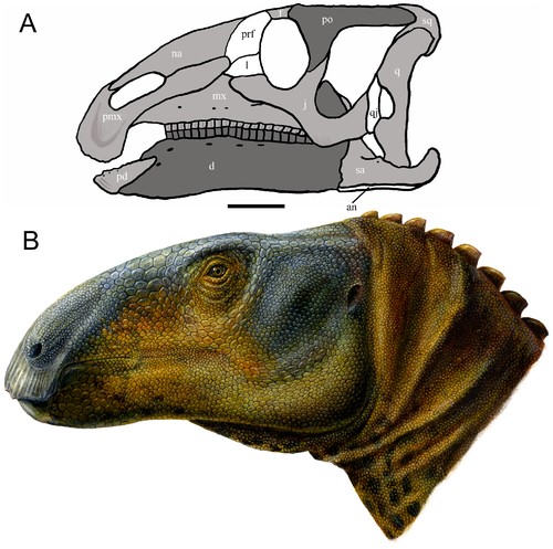 Eolambia