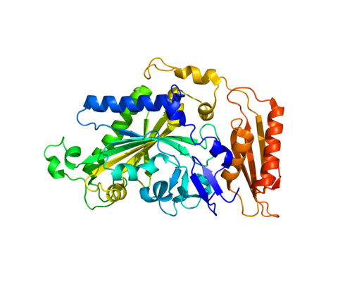 FARS2