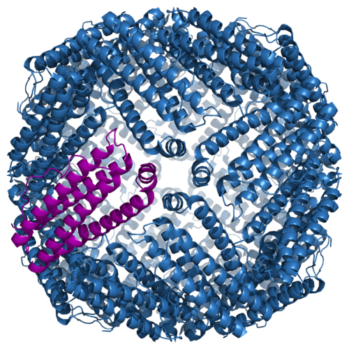 Ferritin