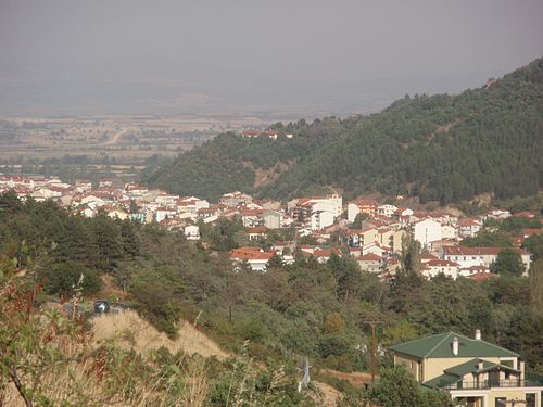 Florina