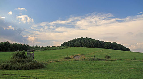 Frenzelsberg