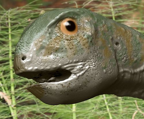 Gobiceratops