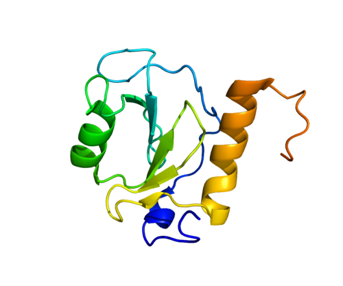 HDAC6