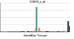 HYAL1