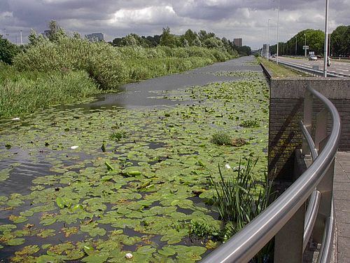 Haarlemmertrekvaart