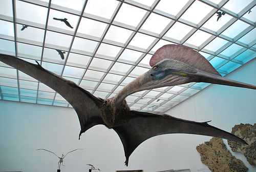 Hatzegopteryx