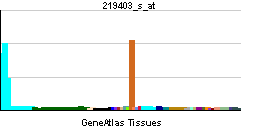 Heparanase