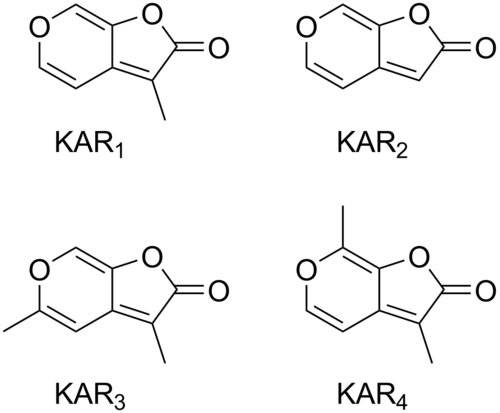 Karrikin