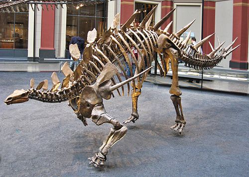 Kentrosaurus