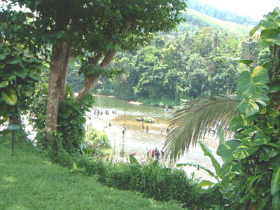 Kitulgala