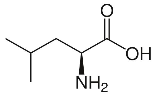 Leucine