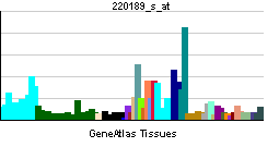 MGAT4B