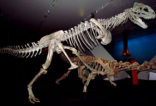 Majungasaurus