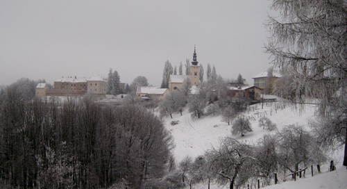 Negova